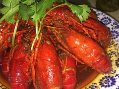 -京城一锅羊蝎子火锅(官塘新村店)