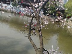 -水绘园