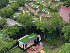 -常州淹城野生动物世界