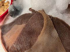 -九鼎轩脆毛肚火锅(三钢里店)