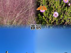 -Catail前苑(前门大街店)