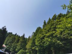 -山王坪喀斯特国家生态公园