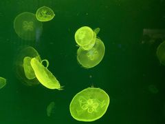 -成都浩海立方海洋公园