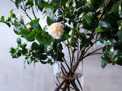 -曲廊院(东四十一条店)