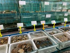 水产区-海岛渔村大酒店(云霄路店)