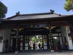 -南汇桃花村