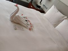 -厦门悦华酒店