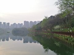 -重庆彩云湖湿地公园