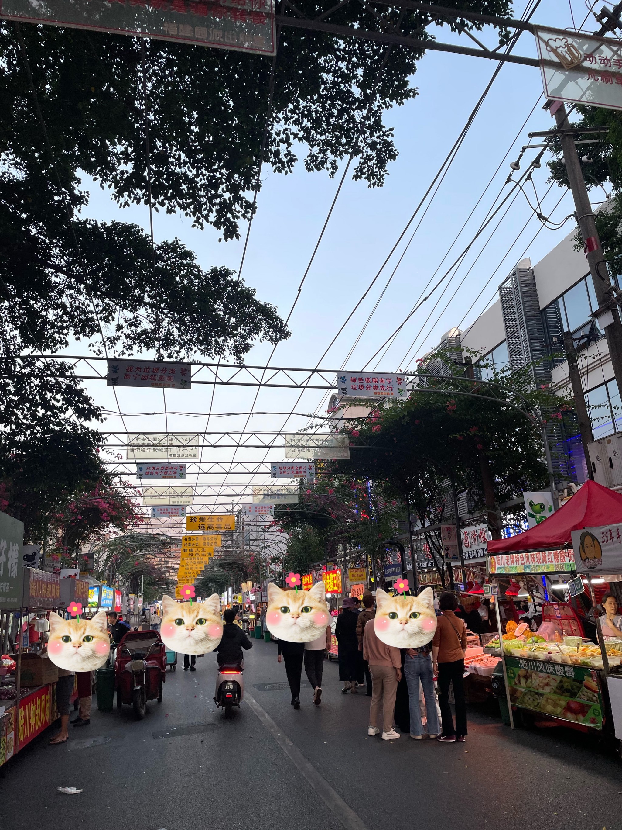 https://qcloud.dpfile.com/pc/KECQL1vRcuSiHgkGVrpyesjlLEc8MsNLNr7zYXwolwiX2T5-1Pg2Q4T851ggB73sY0q73sB2DyQcgmKUxZFQtw.jpg