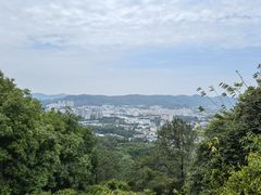 -火炉山森林公园