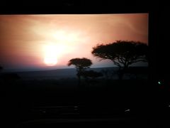 -武汉华夏国际影城(鲁广店)