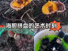 -双月湾