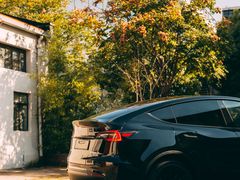 -TESLA 特斯拉(上海太古汇体验店)