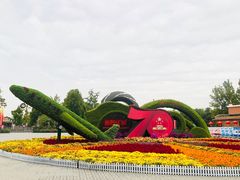 -大兴滨河森林公园