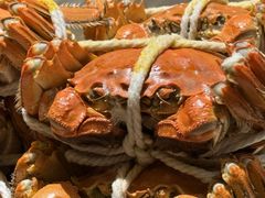 -新光酒家·河豚·海鲜·蟹料理(浦东店)
