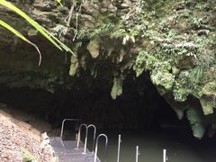 -怀托摩萤火虫洞