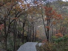 -驼梁风景区