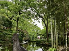 -南山植物园