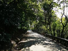 -平湖九龙山旅游度假区