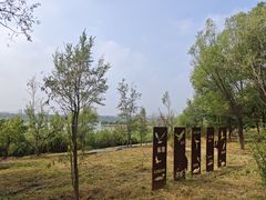 -绿堤公园