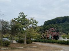 -大屏嶂森林公园
