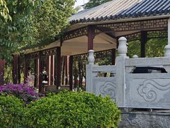 -飞来湖湿地公园