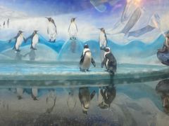 -洛阳龙门海洋馆