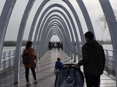 景点-大兴滨河森林公园