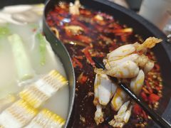 美蛙-销魂美蛙鱼头火锅(上海首店)