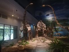 -自贡恐龙博物馆