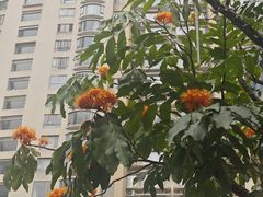 -平安金融中心云际观光层
