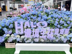 -HALO广场(梨园路店)