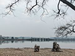 -东湖落雁景区