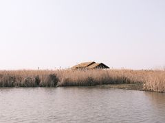-宁波杭州湾国家湿地公园