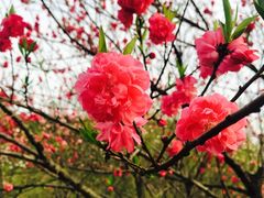 -南山风景名胜区