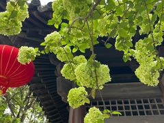 -常熟方塔园