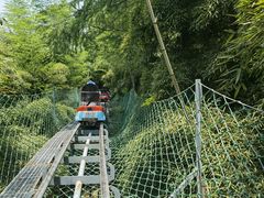 -藏龙百瀑风景区
