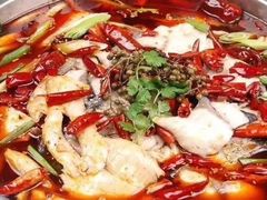 鱼火锅-黑龙滩生态鱼火锅(百寿路店)