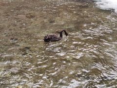 -水磨沟公园
