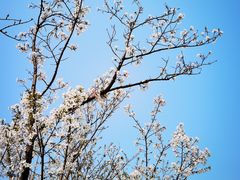 -重庆中央公园(渝北区)