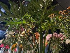 -懒人盐府人家(航天桥店)