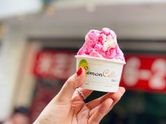 -柠檬车露(卖草地店)