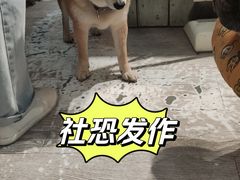 -小时光咖啡馆(北锣鼓巷店)