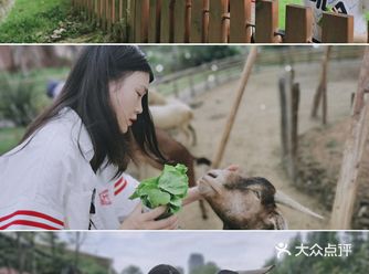 周末去哪儿|在成都假装度假之放野玩水店