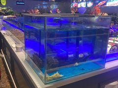-SEA西雅图海鲜自助餐厅(海乐世界店)