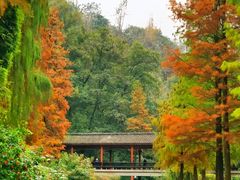 -重庆彩云湖湿地公园