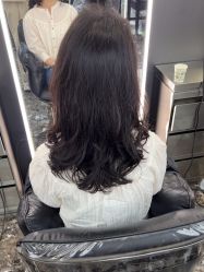 -藤野造型烫染优质