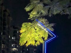 -绿茶餐厅(昆明世纪金源店)
