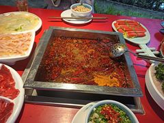 -二荆条·蜀鲜汇城市森林火锅