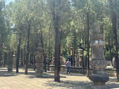 -四门塔风景区